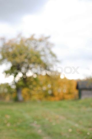 Christmas or New Year composition with fresh tangerines in shopping bag and  word December Stock Photo by paralisart